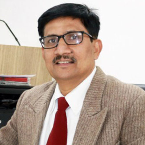 Prof. (Dr.) Raman Kumar Jha